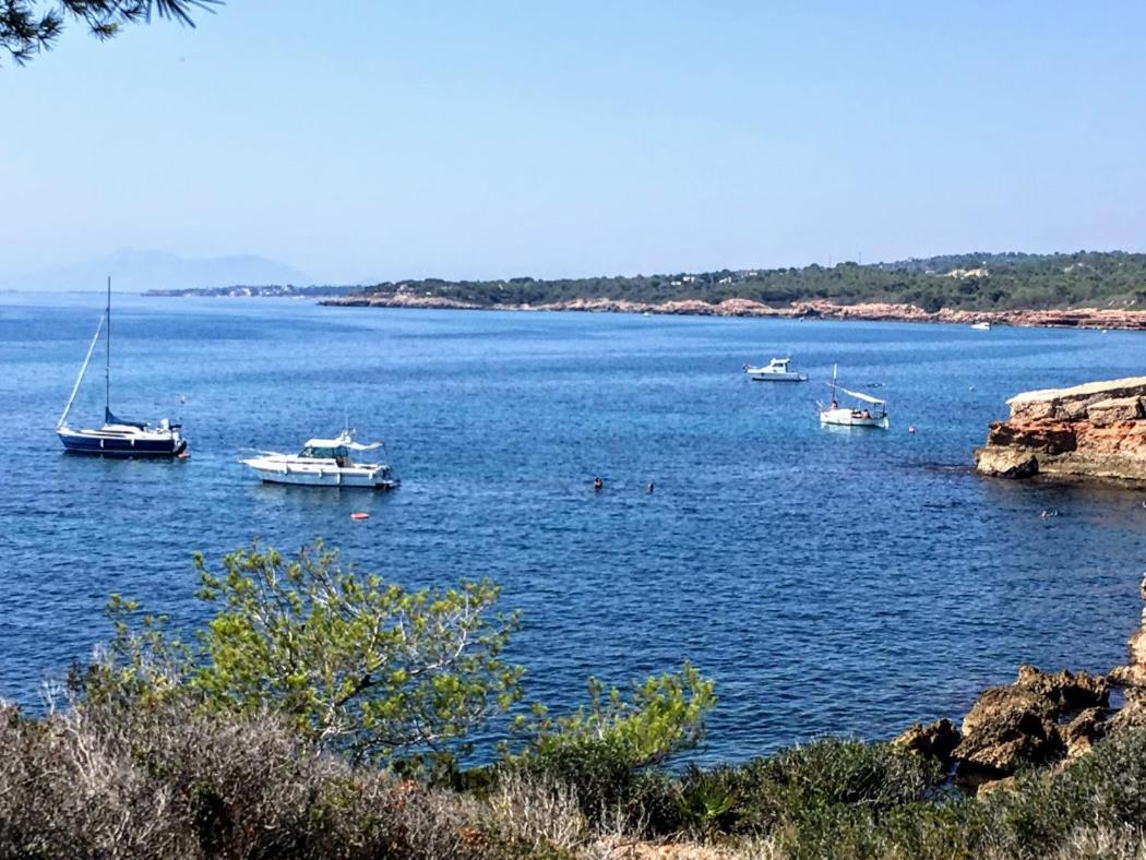 Lacasadelmarametlla L'Ametlla de Mar Esterno foto